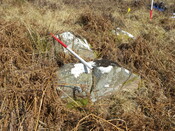 MHG7689_06.JPG