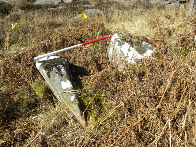 MHG7689_07.JPG