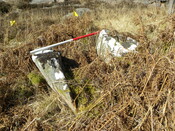 MHG7689_07.JPG