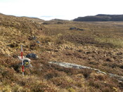 MHG57798_01.JPG