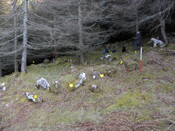 MHG57806_01.JPG