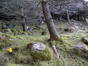 MHG57806_03.JPG