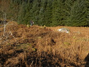 MHG57807_02.JPG