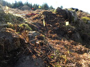 MHG57807_05.JPG