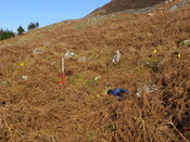 MHG57811_01.JPG