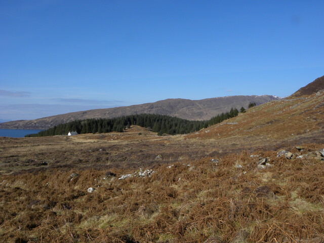 MHG57811_02.JPG