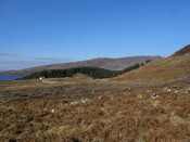 MHG57811_02.JPG