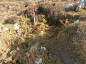 MHG7643_04.JPG