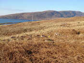 MHG57892_01.JPG