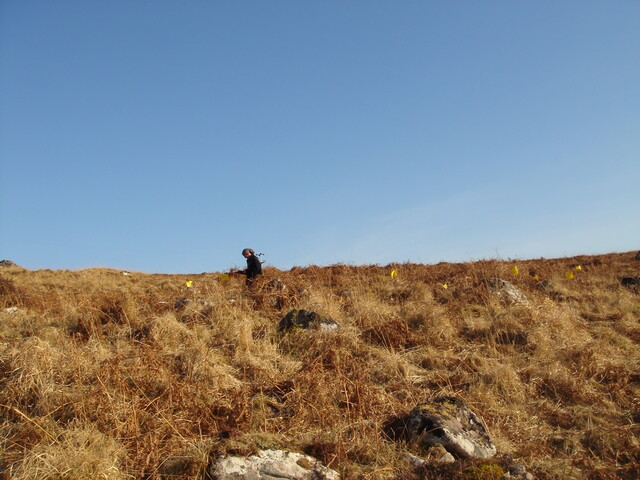 MHG57892_02.JPG