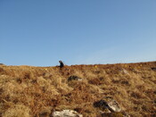 MHG57892_02.JPG