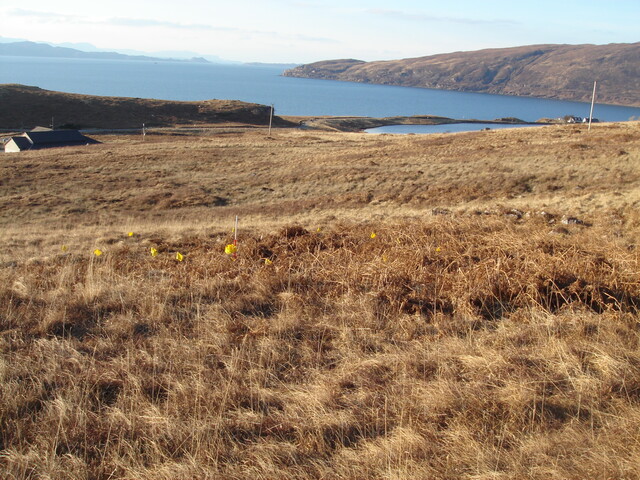 MHG57893_02.JPG