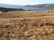 MHG57893_02.JPG