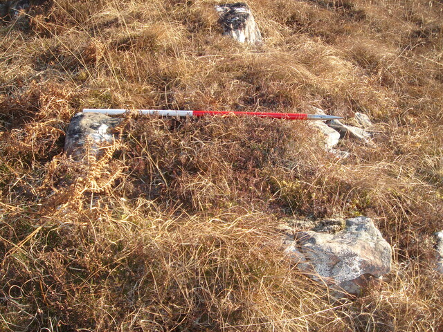 MHG57893_04.JPG