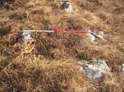 MHG57893_04.JPG