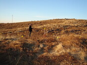 MHG57900_01.JPG