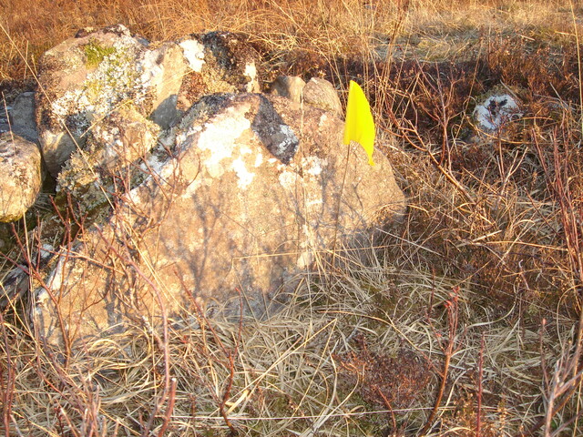 MHG57900_03.JPG