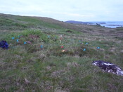 MHG57897_01.JPG