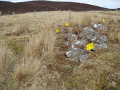 MHG57924_01.JPG