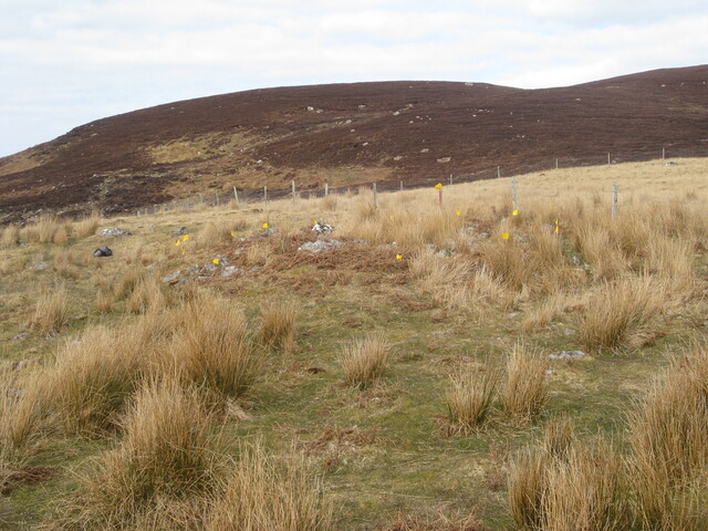 MHG57924_02.JPG