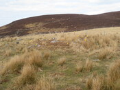 MHG57924_02.JPG