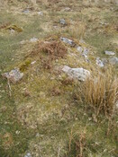 MHG57924_03.JPG