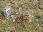 MHG57924_04.JPG