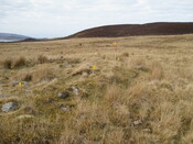 MHG57928_01.JPG