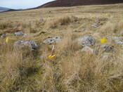 MHG57928_02.JPG