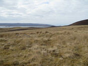MHG57928_03.JPG