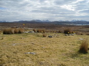 MHG57929_02.JPG