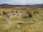 MHG57929_04.JPG
