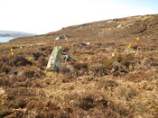MHG58066_01.JPG