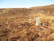 MHG58066_03.JPG