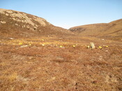 MHG58066_04.JPG