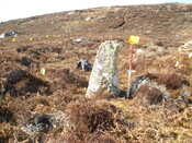 MHG58066_05.JPG