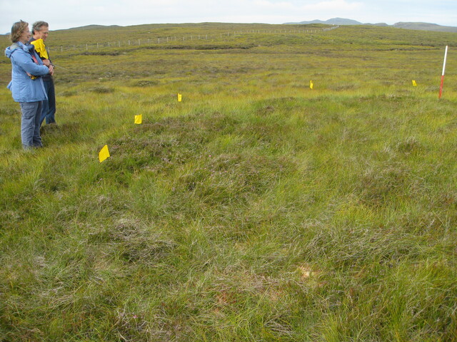 MHG58072_01.JPG
