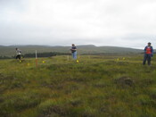 MHG58072_02.JPG