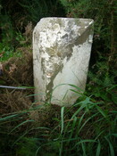EHG4922_17.JPG