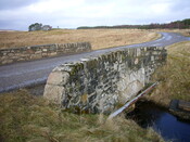 EHG4922_37.JPG