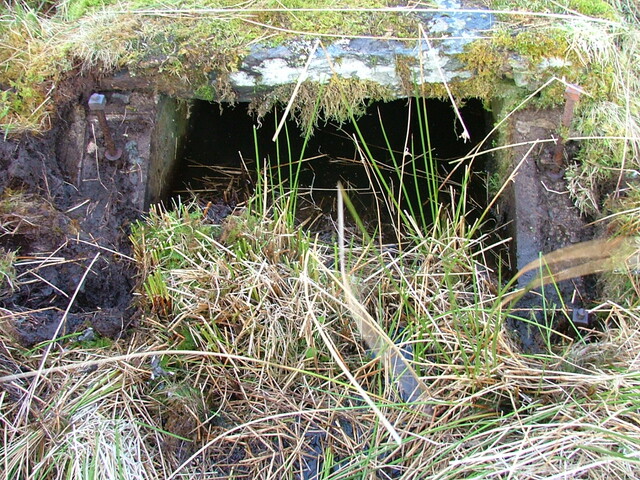 EHG4922_46.JPG