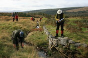 EHG4922_49.JPG