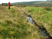 EHG4922_50.JPG