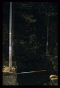 8104.jpg