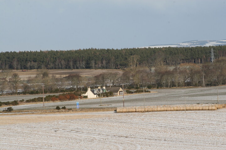 EHG5195_B Little Budgate.JPG