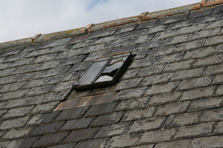 EHG5195_Little budgate roof window.JPG