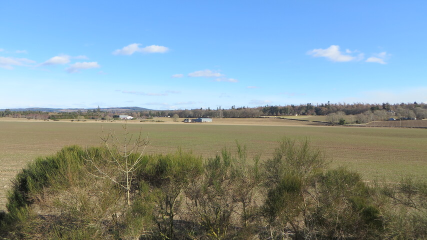 EHG5195_Little Budgate view from bedroom looking South.JPG