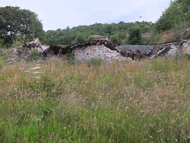EHG5196_05. view from south of steading showing collapsed roof.JPG