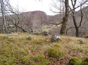 AMc129 IMG_3950 from NW looking at view to SE .JPG