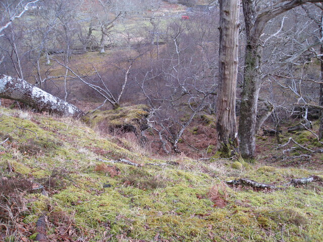 AMc129 IMG_3954 from N  over edge of slope dpwn to AMc128.JPG